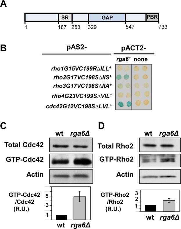 FIGURE 1: