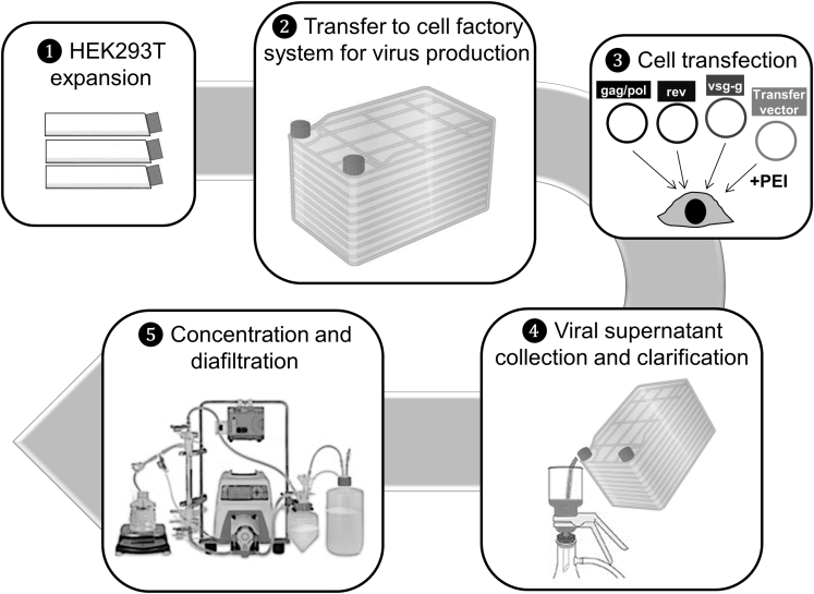 Figure 4