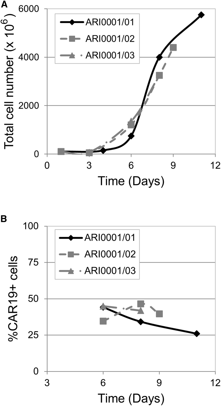 Figure 5