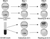 FIG. 2.