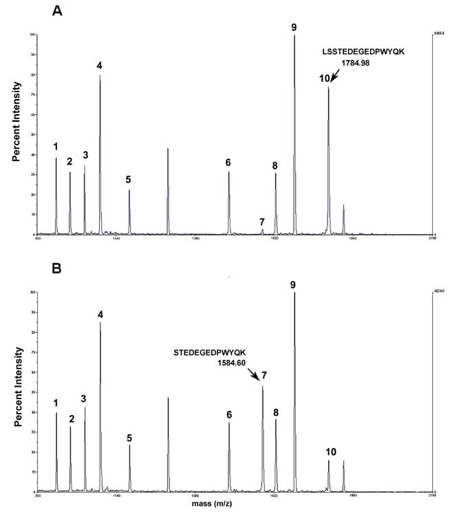 Figure-3