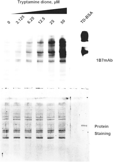 Fig. 5