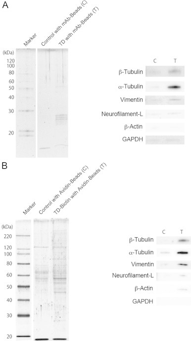 Fig. 6