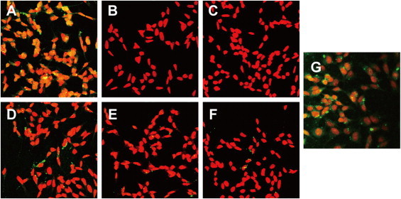 Fig. 4