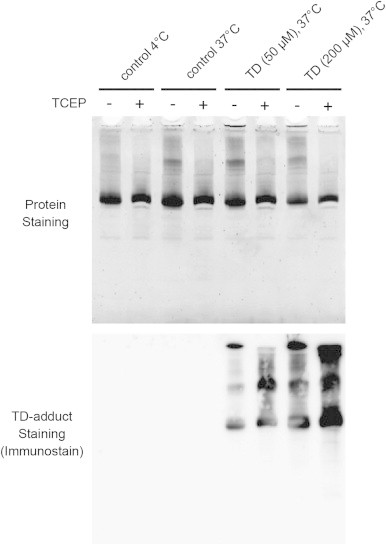 Fig. 8