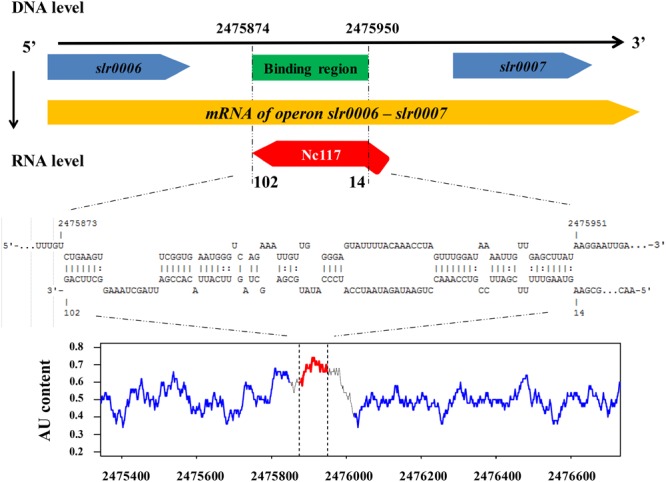 FIGURE 6