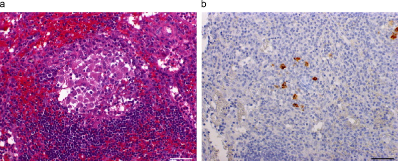 Fig. 2a,b