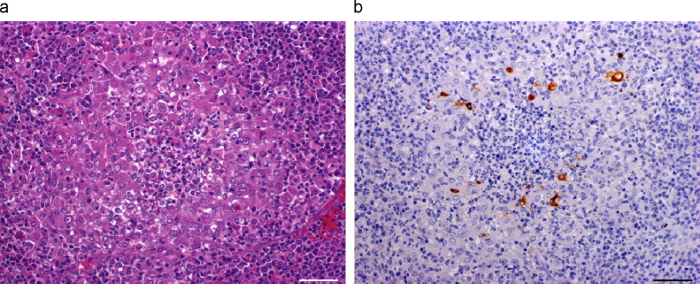 Fig. 3a,b