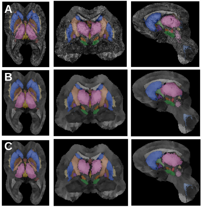 Figure 11.