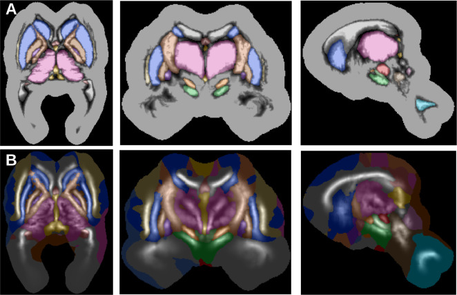 Figure 10.