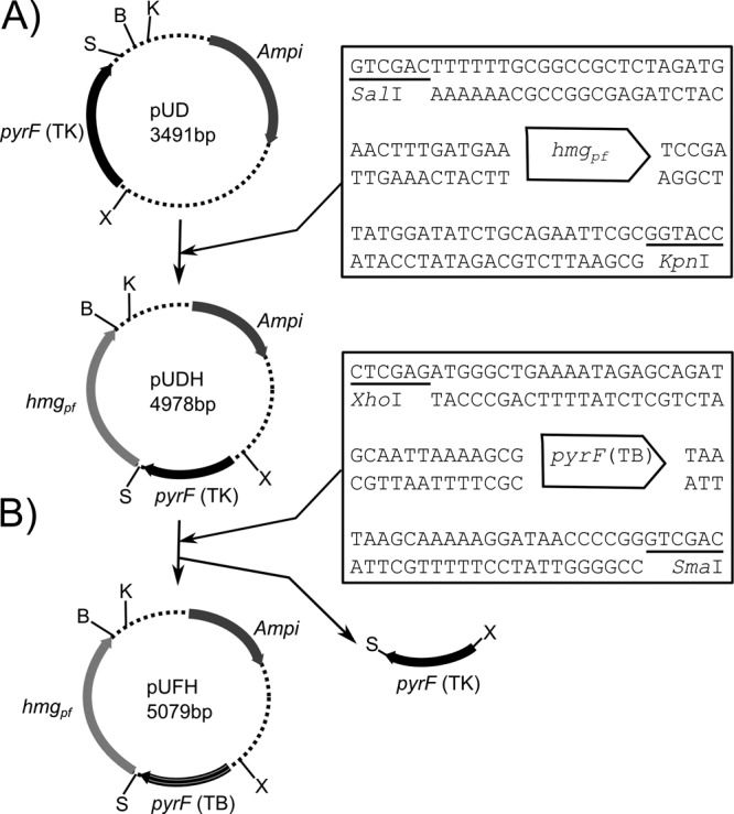 FIG 1