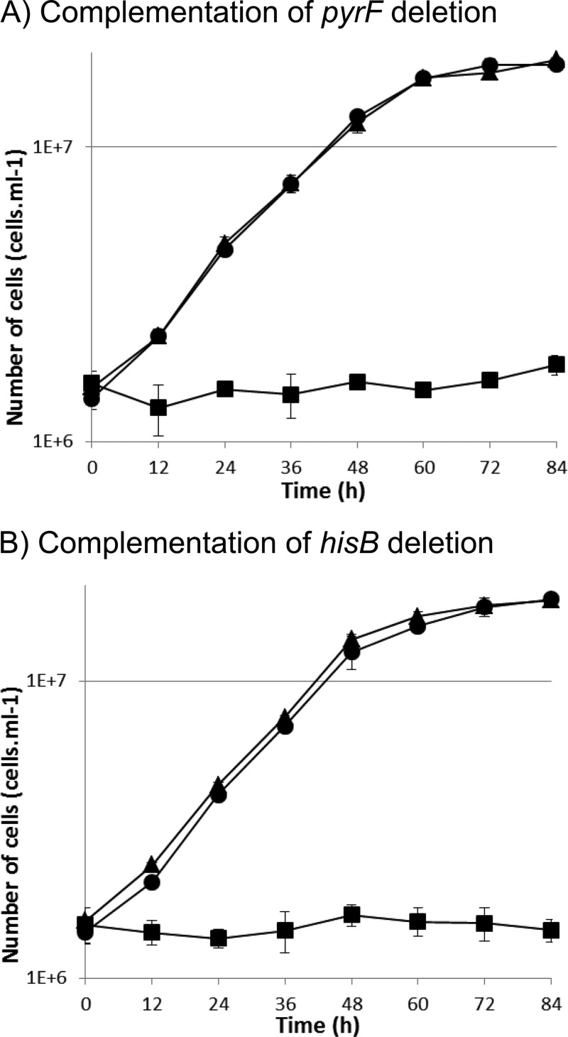 FIG 4