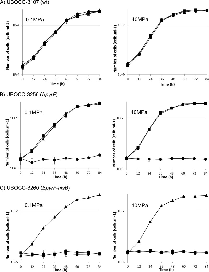 FIG 3