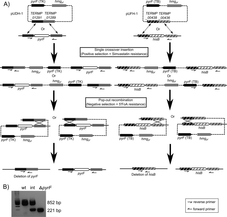 FIG 2