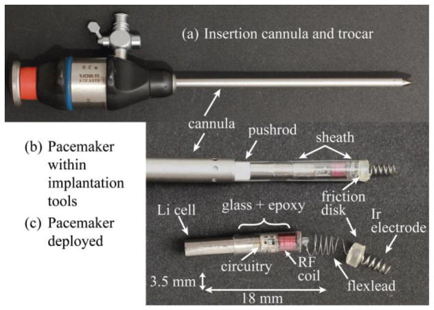 Fig. 1