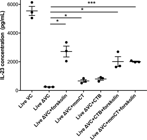 FIG 6