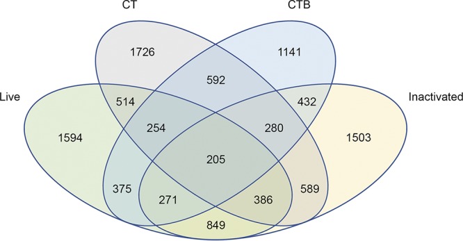 FIG 1