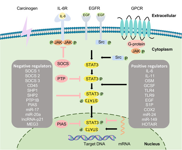 FIGURE 3