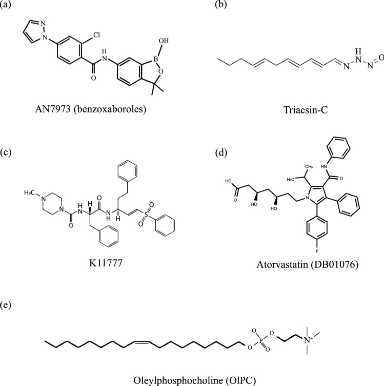 Fig. 2