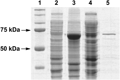 Fig. 3.