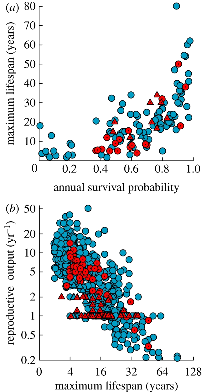 Figure 3.