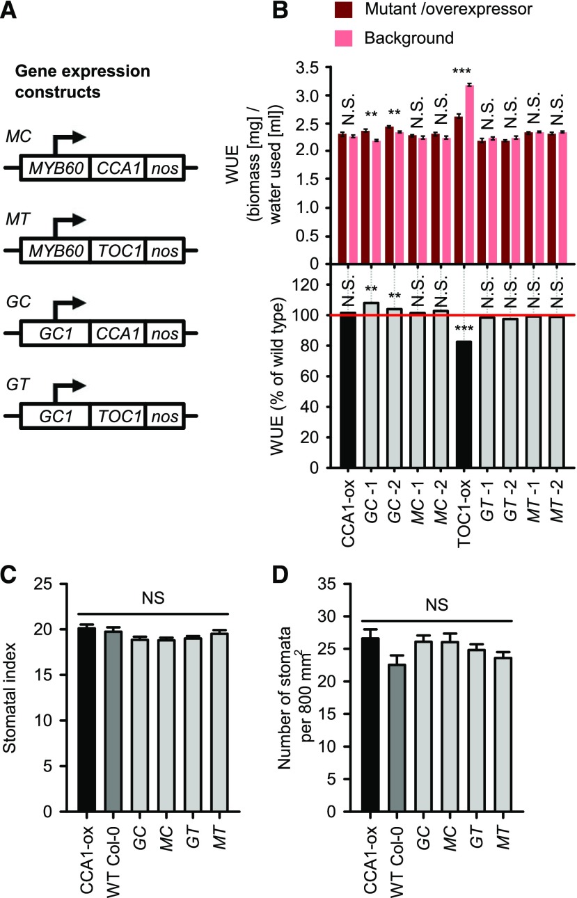 Figure 5.