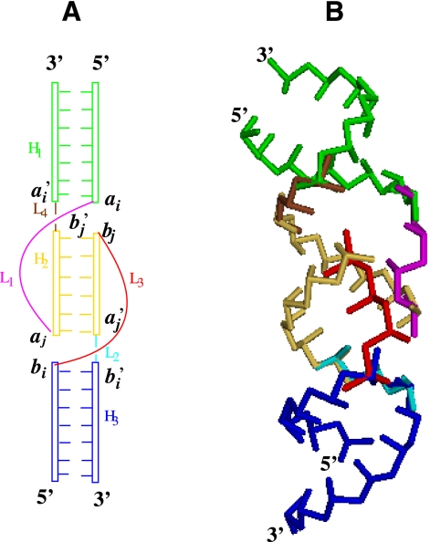 FIGURE 1.