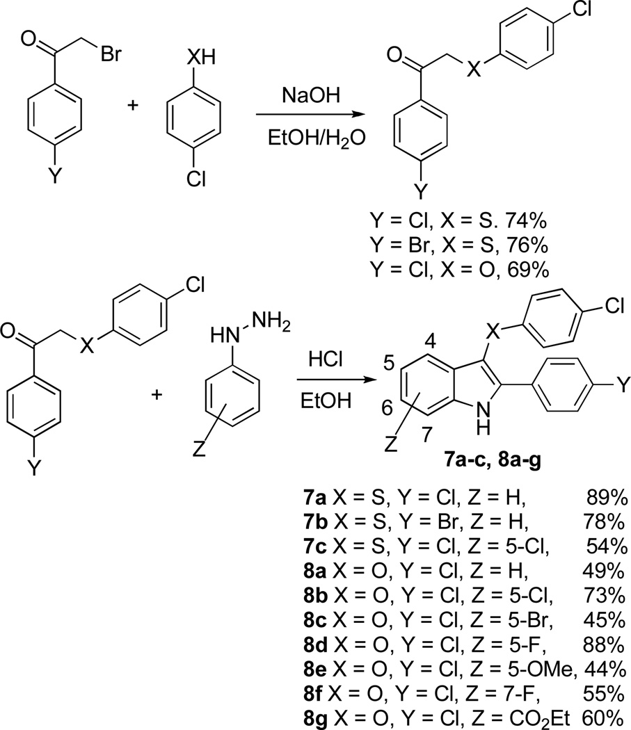 Scheme 5