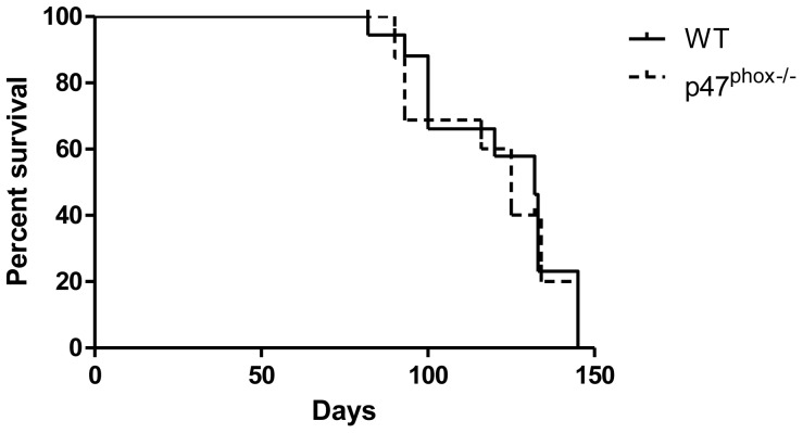 Figure 1.Time