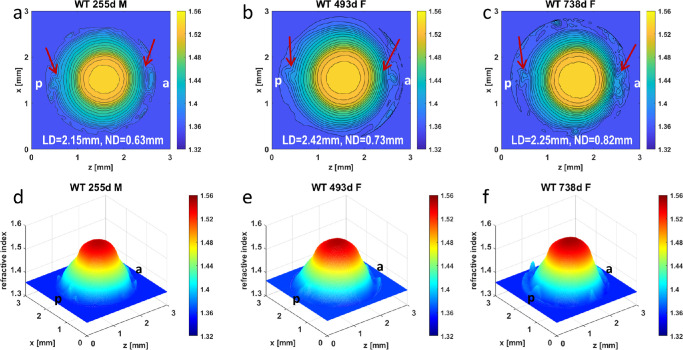 Figure 2.