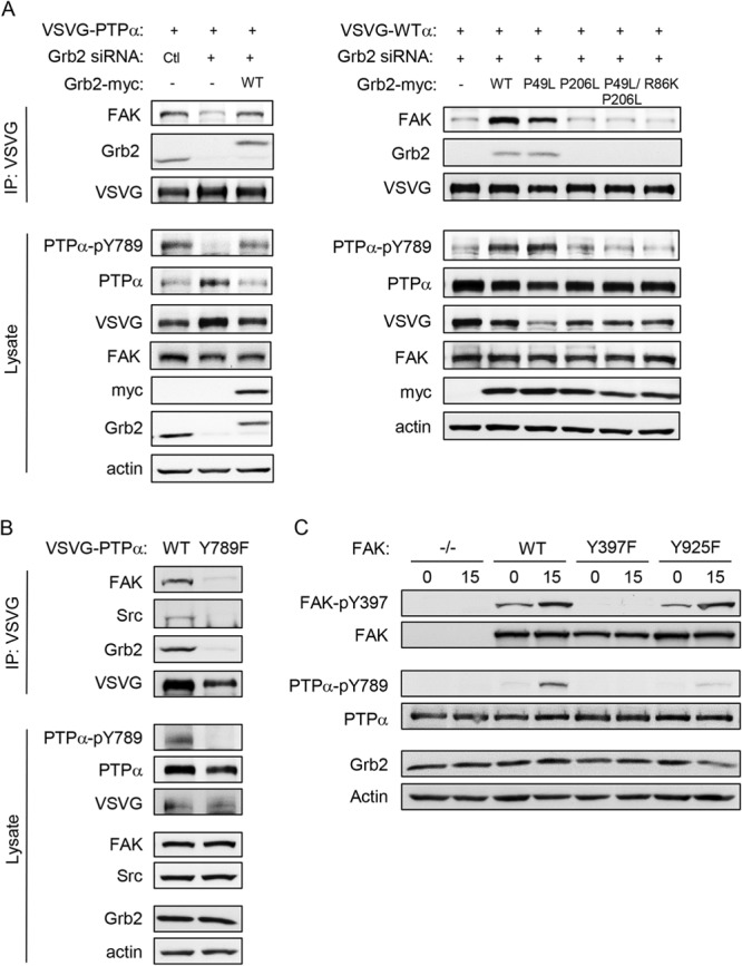 FIG 9