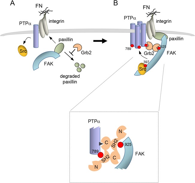 FIG 10