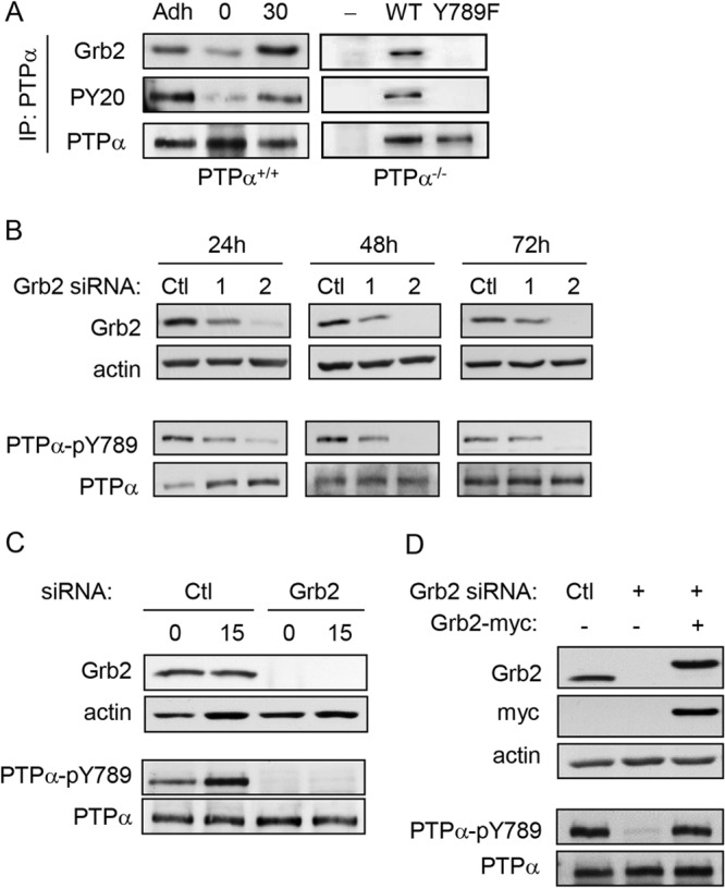 FIG 1