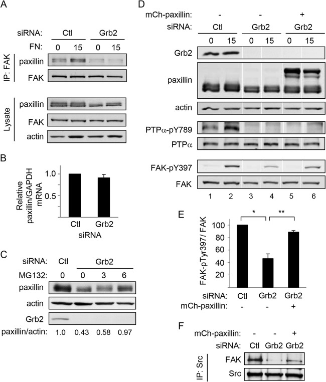 FIG 6