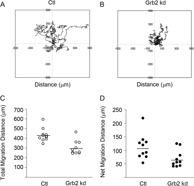 FIG 2