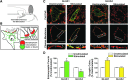 <b>FIG. 1.</b>