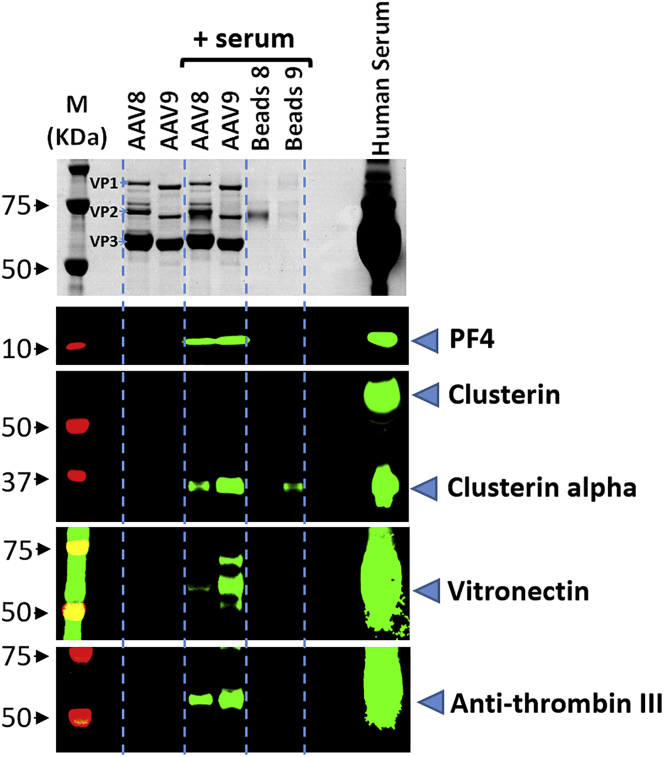 Figure 3