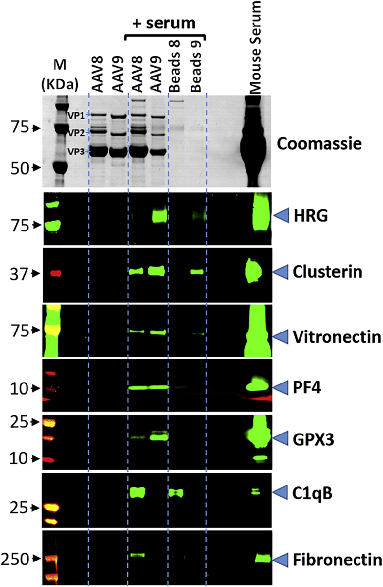 Figure 2