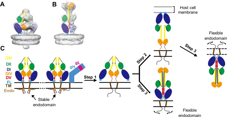 Fig 7