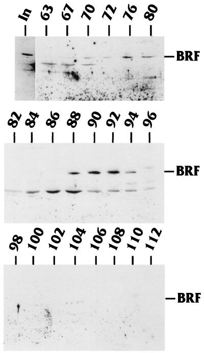 FIG. 5