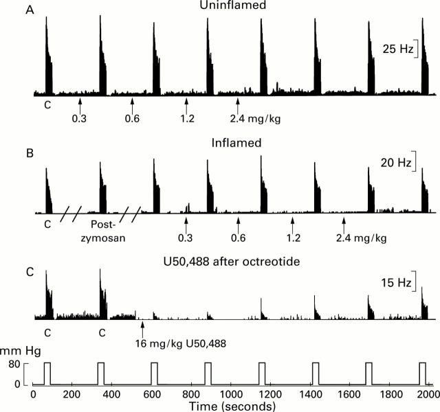 Figure 3  