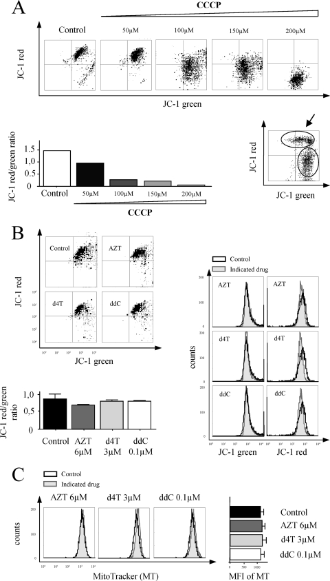 FIG. 4.