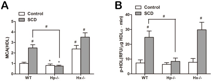 Fig 7