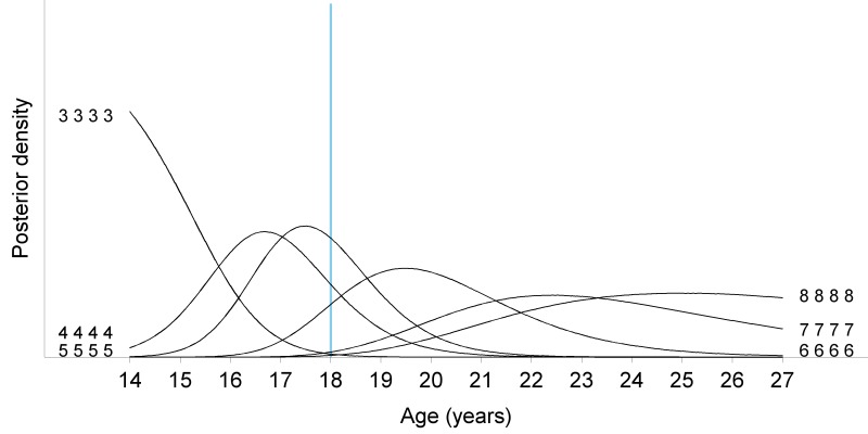 Figure 12