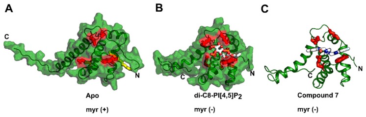 Figure 4