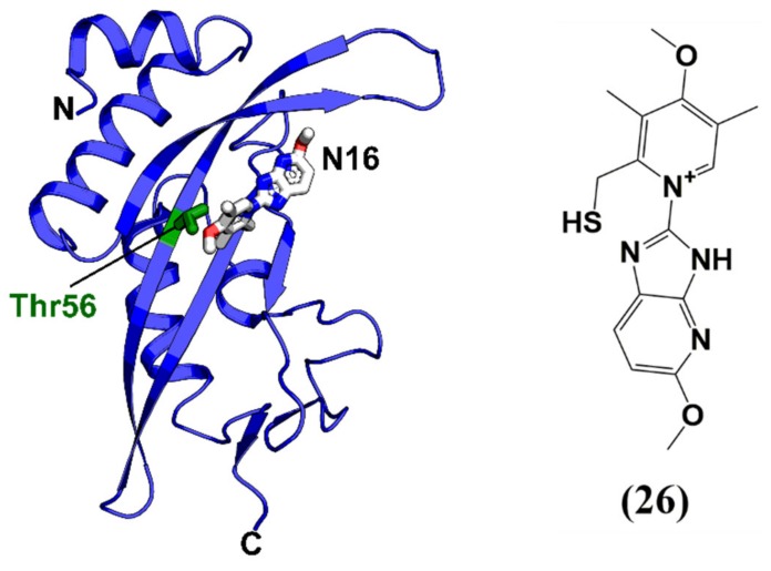 Figure 13