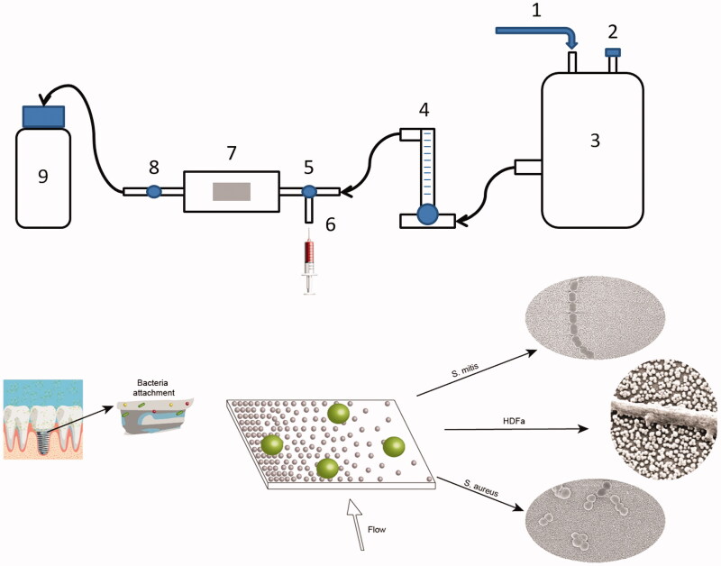 Figure 2.