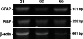 Fig. 5