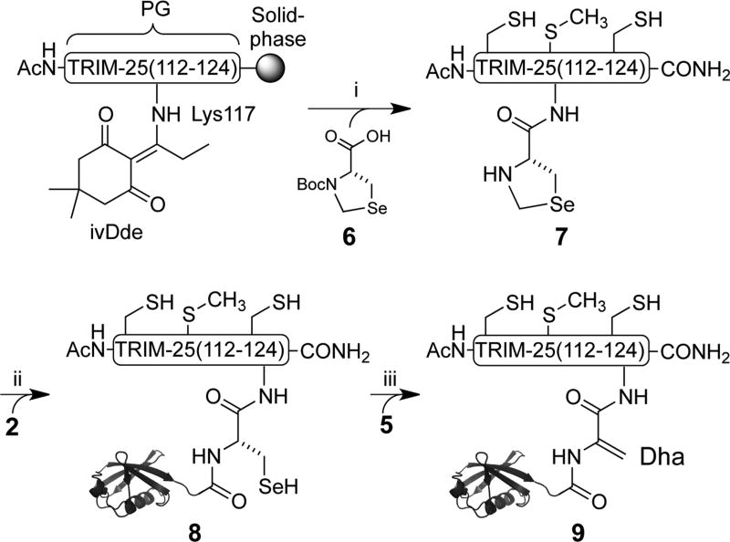 Scheme 3