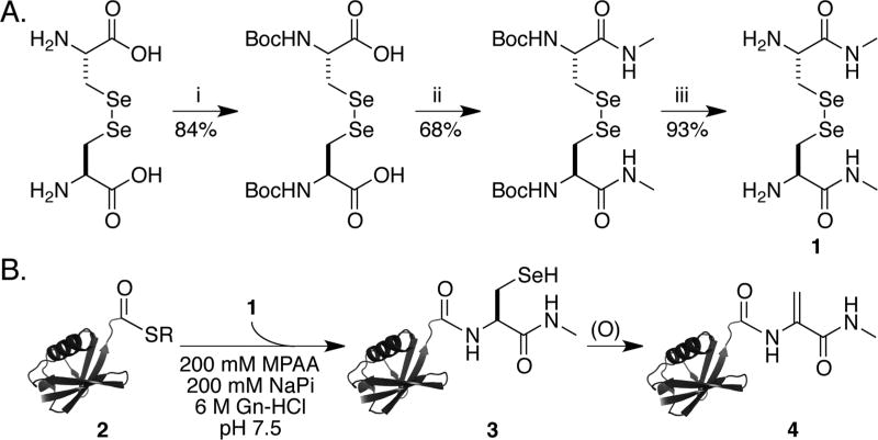 Scheme 2